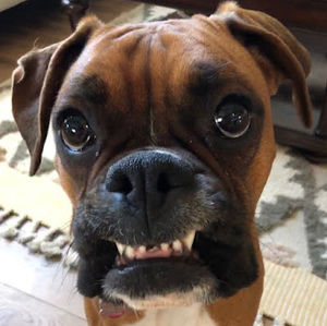 Meet your Posher, Kymber